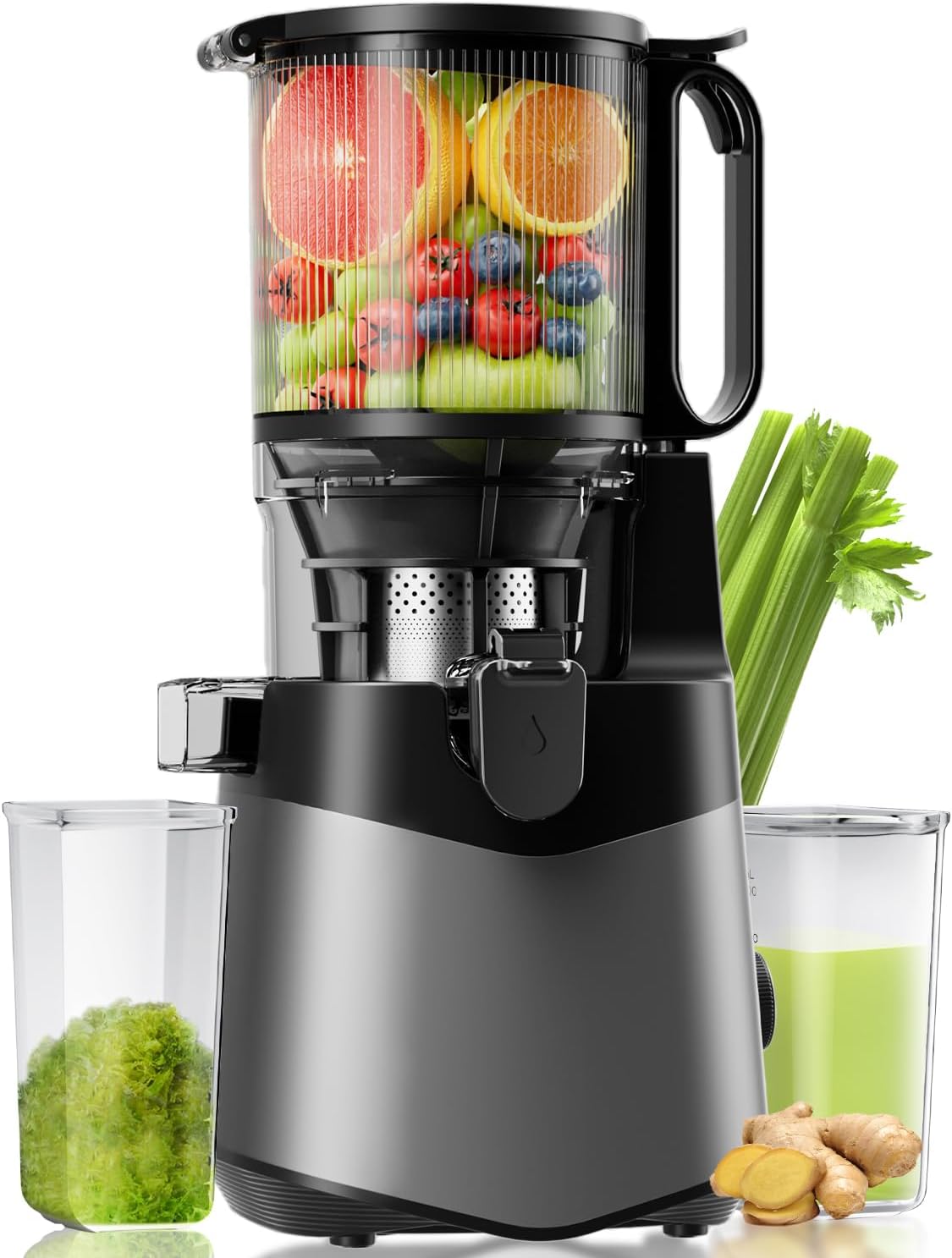 Cold Press Juicer